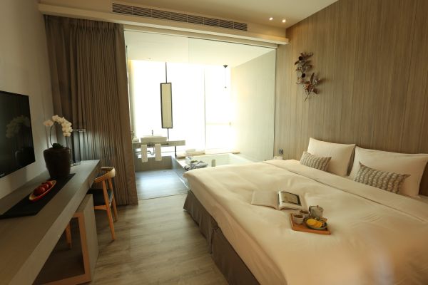Hotelday Plus Teascape (Chiayi)